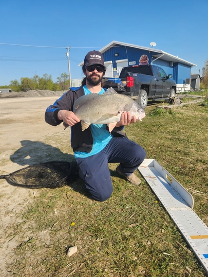 Freshwater Drum