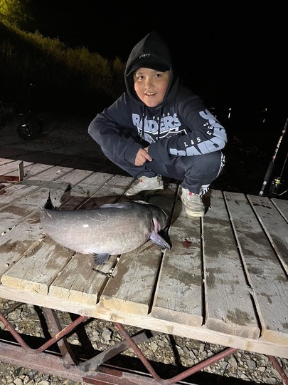 Channel Catfish