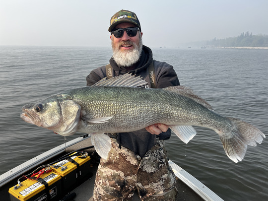 Walleye