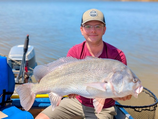 Freshwater Drum