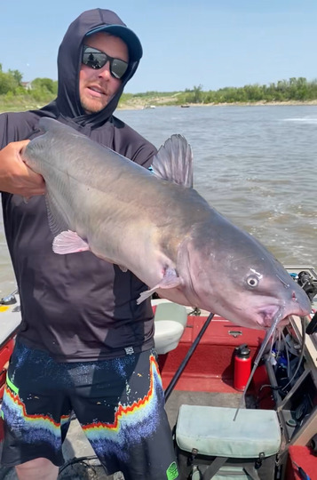 Channel Catfish