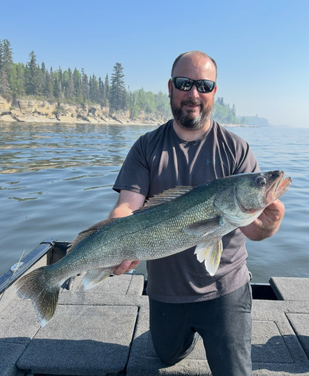 Walleye