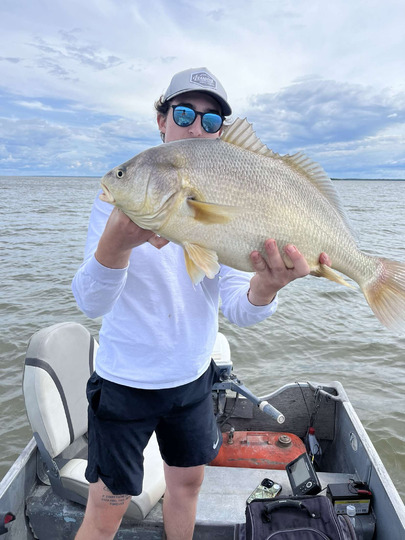 Freshwater Drum