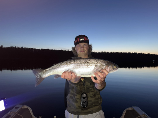 Rainbow Trout