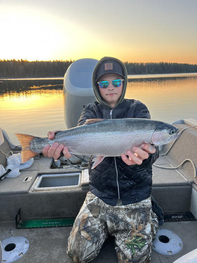 Rainbow Trout