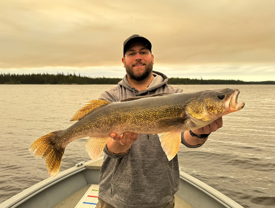 Walleye