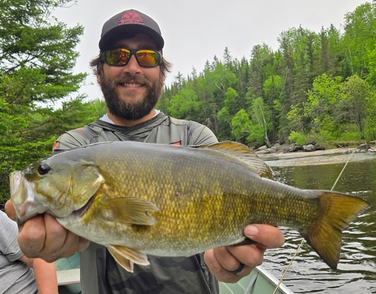 Smallmouth Bass