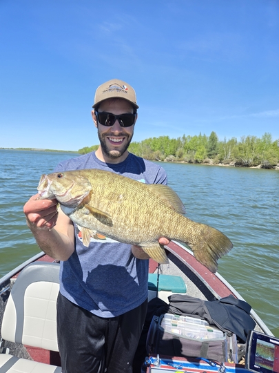 Smallmouth Bass