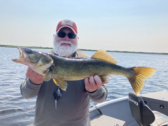 Walleye