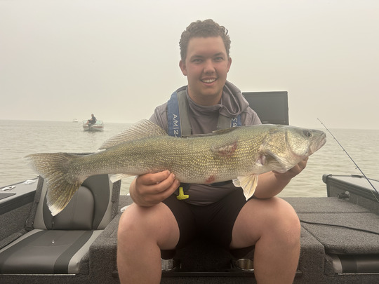 Walleye