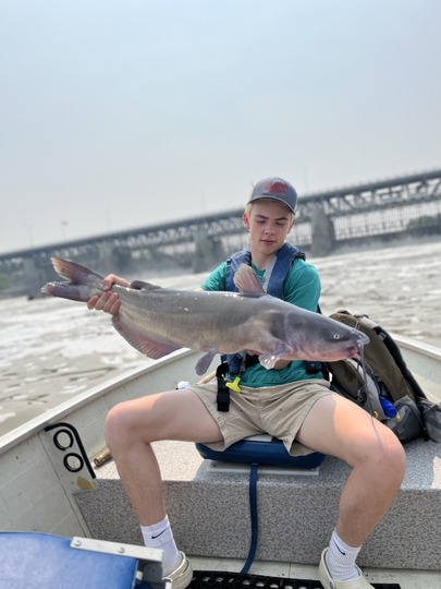 Channel Catfish