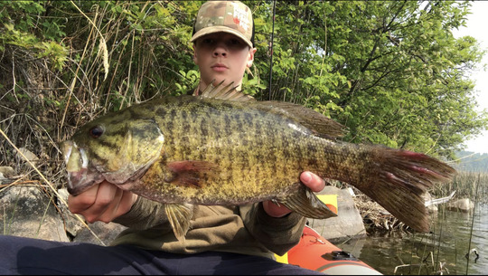 Smallmouth Bass
