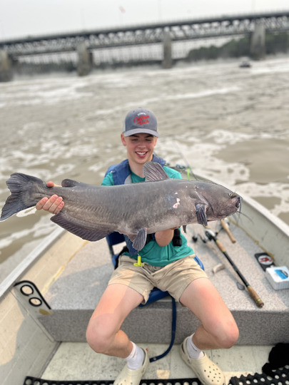 Channel Catfish