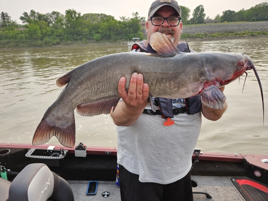 Channel Catfish