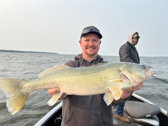 Walleye