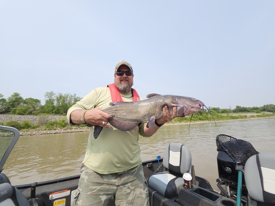 Channel Catfish