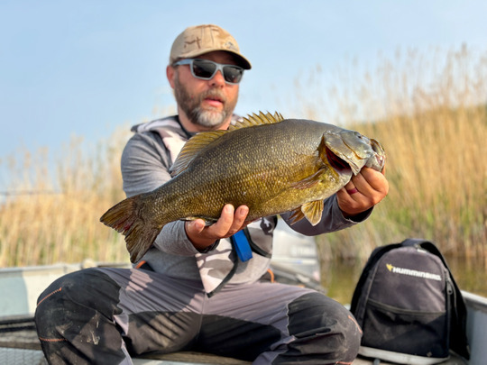 Smallmouth Bass