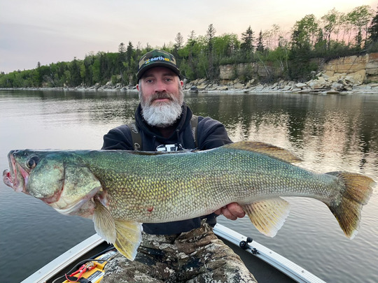 Walleye
