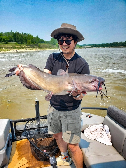 Channel Catfish
