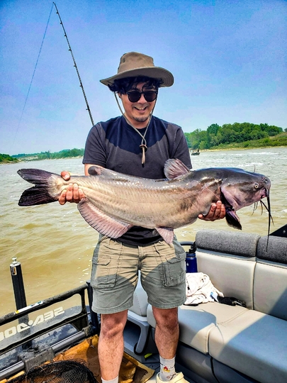 Channel Catfish