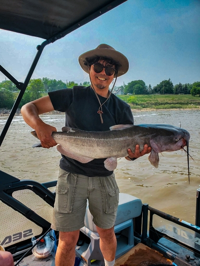 Channel Catfish