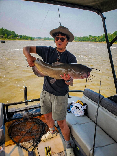 Channel Catfish