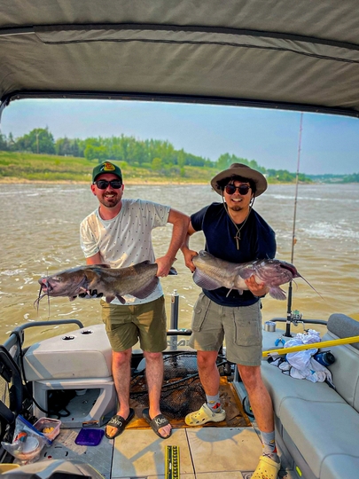 Channel Catfish