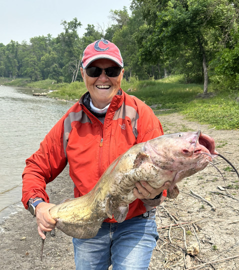 Channel Catfish