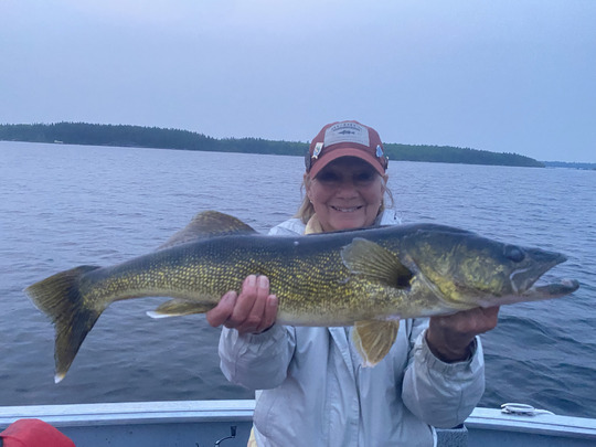 Walleye