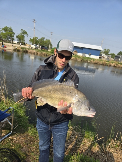Freshwater Drum