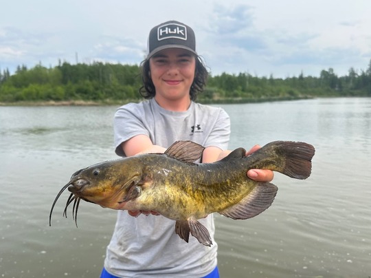 Bullhead