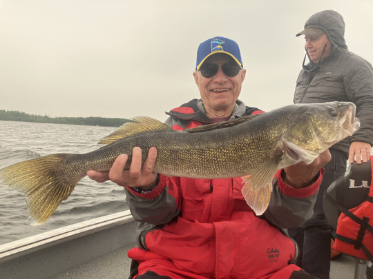 Walleye
