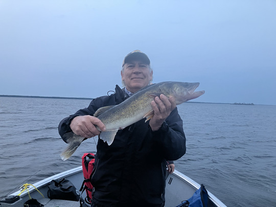 Walleye