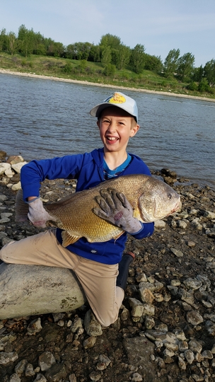 Freshwater Drum