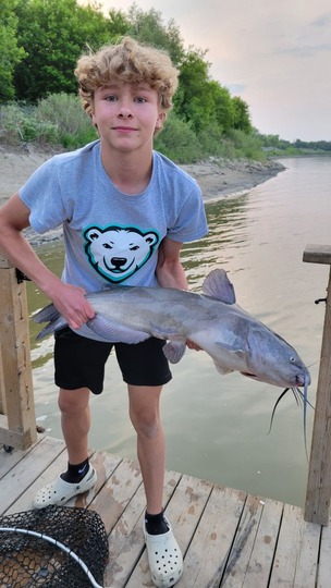 Channel Catfish