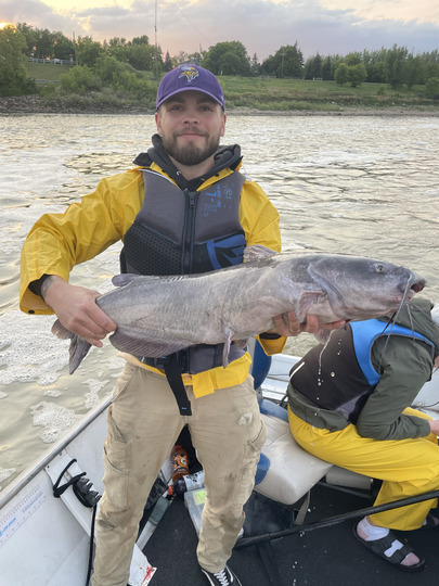Channel Catfish