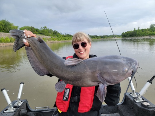 Channel Catfish