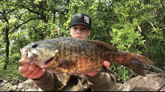 Smallmouth Bass