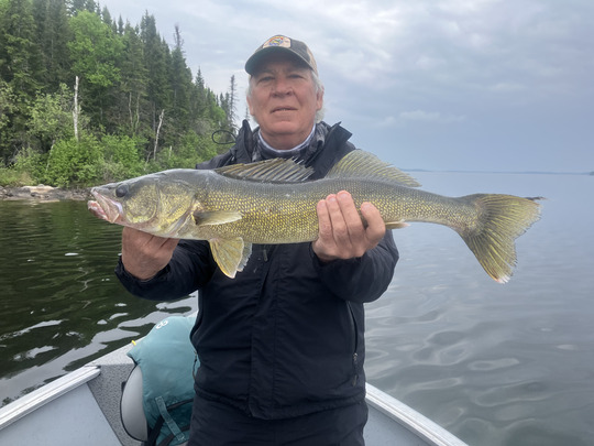 Walleye