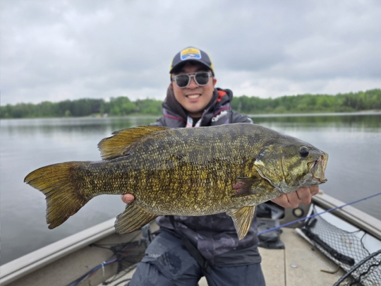 Smallmouth Bass