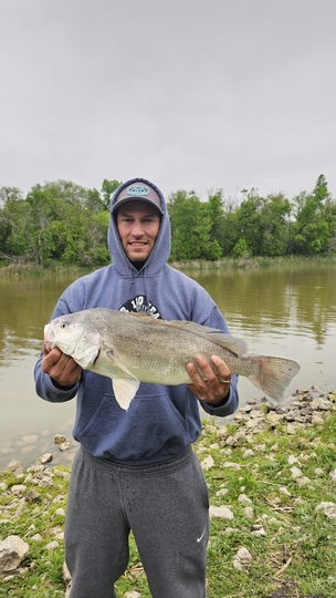Freshwater Drum