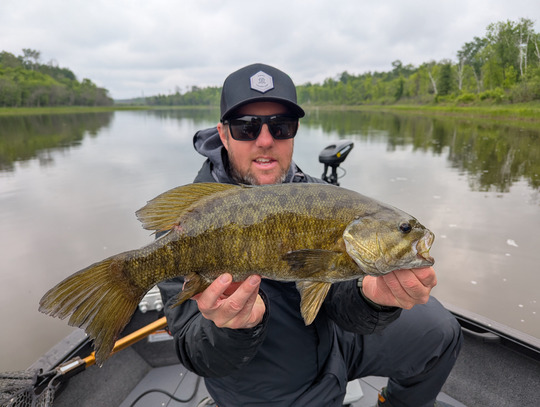 Smallmouth Bass