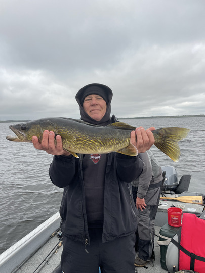 Walleye