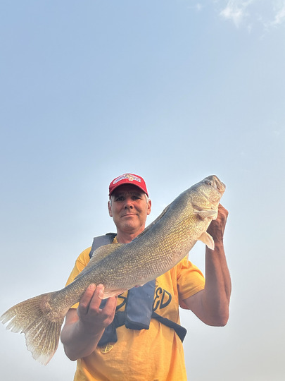 Walleye