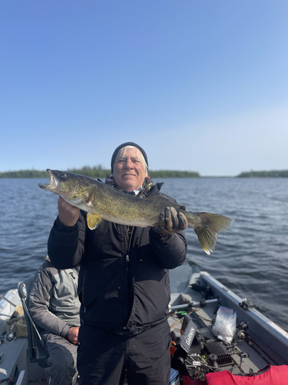 Walleye