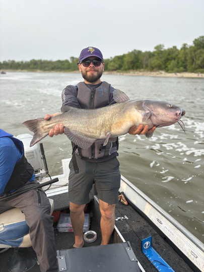 Channel Catfish