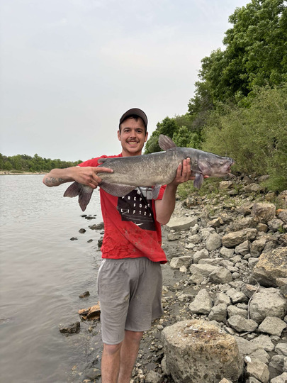 Channel Catfish