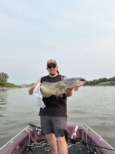 Channel Catfish