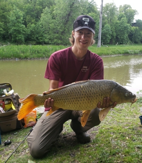 Common Carp