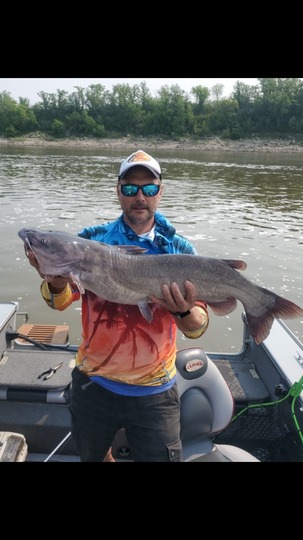 Channel Catfish